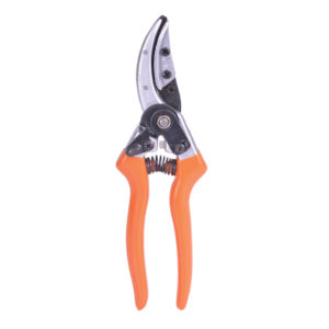 MAKAZE ZA VOCE VILLAGER