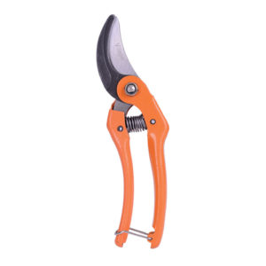 MAKAZE ZA VOCE VILLAGER